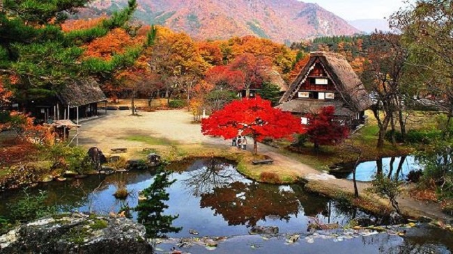 mùa thu lá đỏ Nhật  Bản