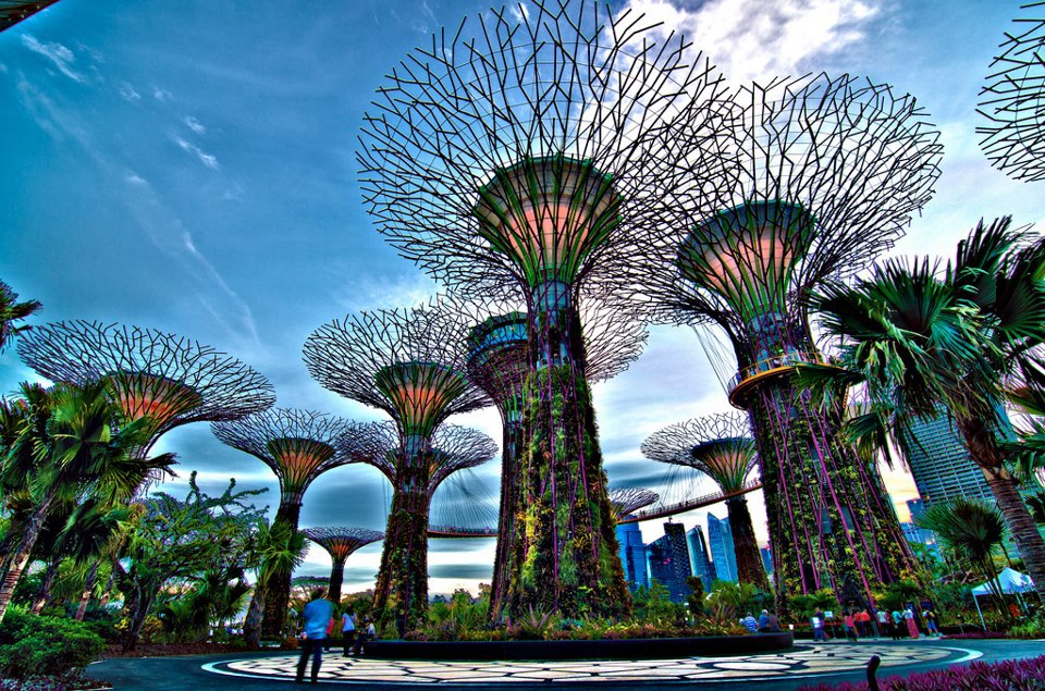Vi vu Gardens by the Bay - Khu vườn độc đáo của Singapore