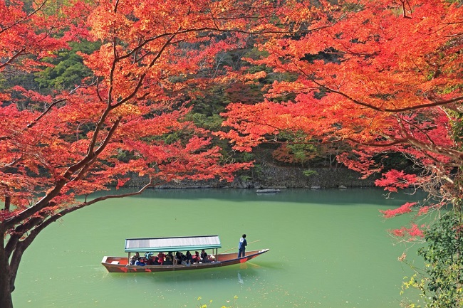 mùa thu lá đỏ Nhật Bản 6