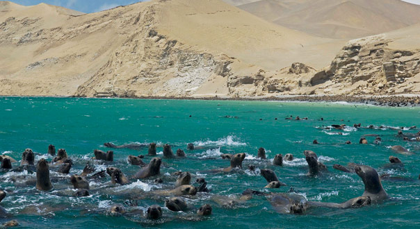 Những địa điểm du lịch đẹp ở Peru hấp dẫn du khách