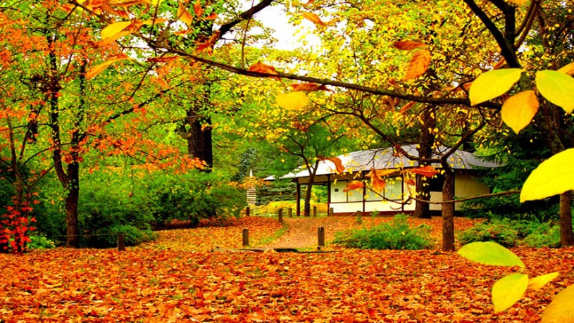 Những điểm ngắm mùa thu lý tưởng và đẹp nhất trên thế giới