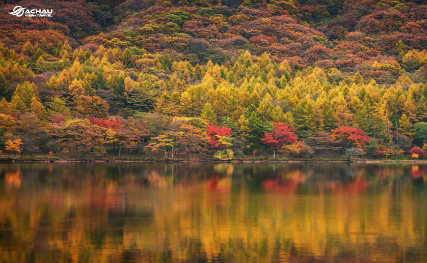 Những trải nghiệm không nên bỏ qua khi du lịch Nhật Bản vào mùa thu 3