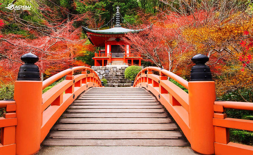 Những trải nghiệm không nên bỏ qua khi du lịch Nhật Bản vào mùa thu 4