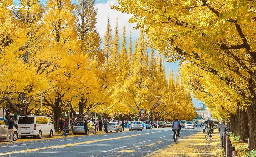 Những trải nghiệm không nên bỏ qua khi du lịch Nhật Bản vào mùa thu