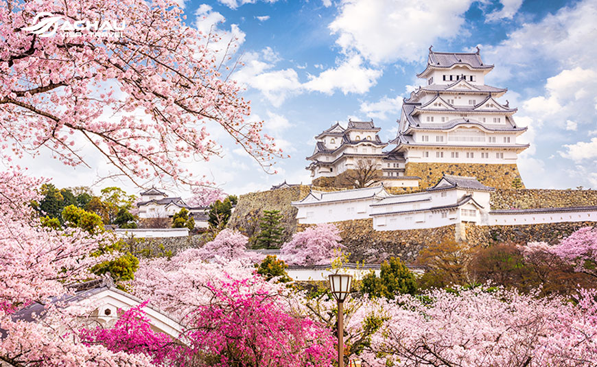 lịch nở hoa anh đào 2019 ở Nhật Bản
