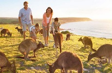 Bảo lãnh người thân sang Úc du lịch mất bao nhiêu tiền?