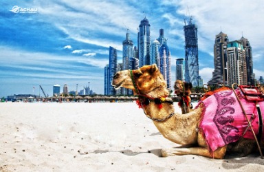Bỏ túi kinh nghiệm du lịch Dubai tự túc tiết kiệm chi phí nhất