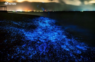 Chiêm ngưỡng bãi biển chứa đầy sao ở Maldives