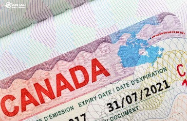 Đối với visa du lịch Canada, bạn được làm và không được làm những gì?