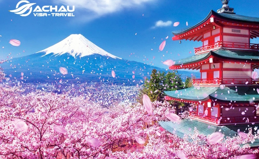 Rực rỡ sắc hoa anh đào Nhật Bản: Tokyo – Yamanashi – Owakudani – Fuji (5N4Đ)