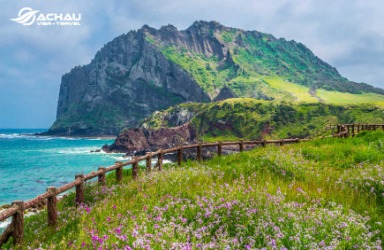 Jeju: Hòn đảo Tam đa, Tam vô đầy thú vị của Hàn Quốc
