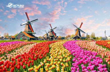 Kinh nghiệm du lịch khám phá xứ sở cối xoay gió ở Hà Lan