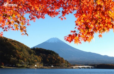 Mê hồn với mùa thu lá đỏ Nhật Bản lãng mạn
