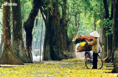 Những địa điểm du lịch mùa Thu lý tưởng ở Việt Nam