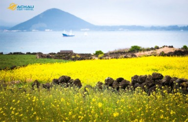 Những điểm đến hấp dẫn trên đảo Jeju không nên bỏ qua