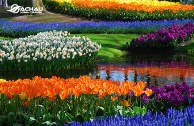 Những vườn hoa đẹp và nổi tiếng nhất thế giới