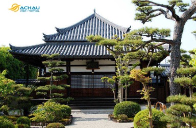 Tham quan quần thể kiến trúc phật giáo Horyuji