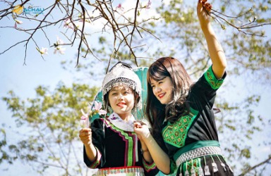 Tìm hiểu về lễ hội hoa ban của người Thái ở Việt Nam