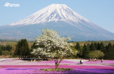 Tìm hiểu về núi Phú Sỹ – Biểu tượng thiêng liêng của Nhật Bản