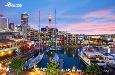 Tổng hợp kinh nghiệm du lịch New Zealand tiết kiệm nhất