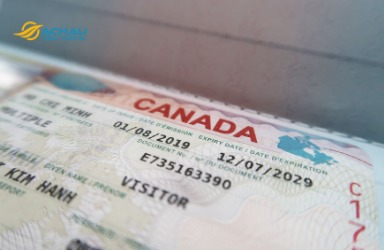 Yếu tố quyết định tỷ lệ đậu visa du lịch Canada cao