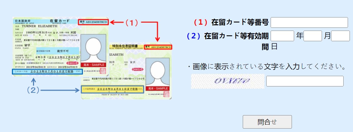 Cách kiểm tra kết quả visa Nhật Bản nhanh và đơn giản 2022