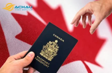 Bị từ chối visa Canada, rớt visa Canada làm sao để đậu lần tiếp theo?