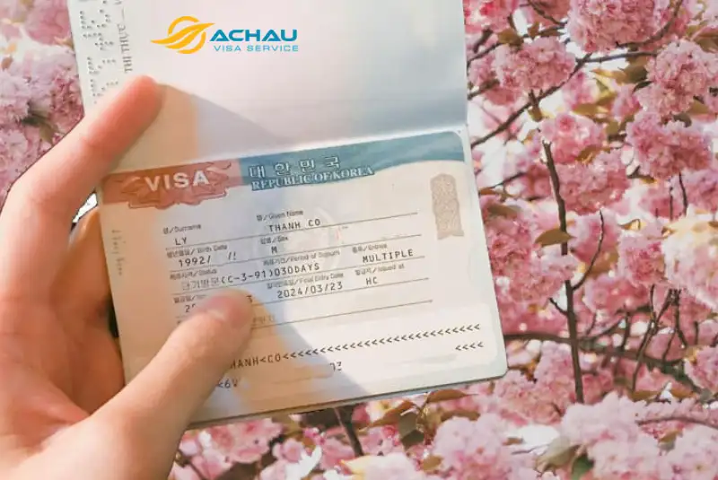 Sử dụng visa Hàn Quốc 5 năm để làm việc được không?